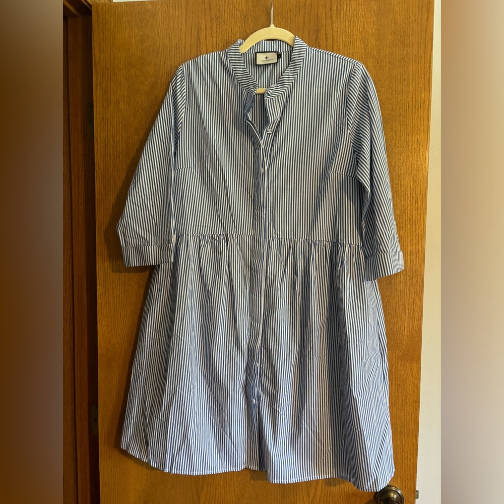 Tuckernuck blue striped shirt dress
